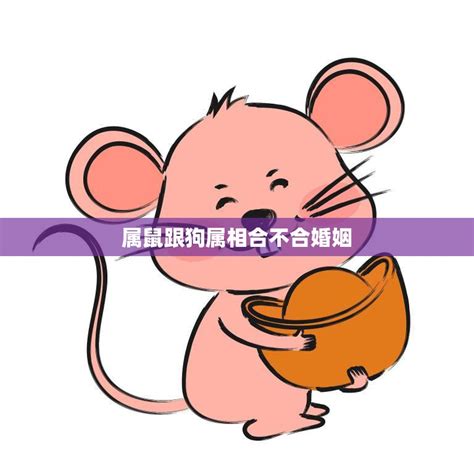 屬鼠跟什麼生肖合|属鼠和什么属相相冲 生肖鼠和什么属相不合